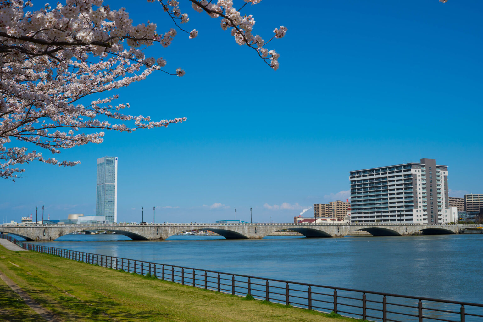 春の信濃川と萬代橋（新潟県新潟市）