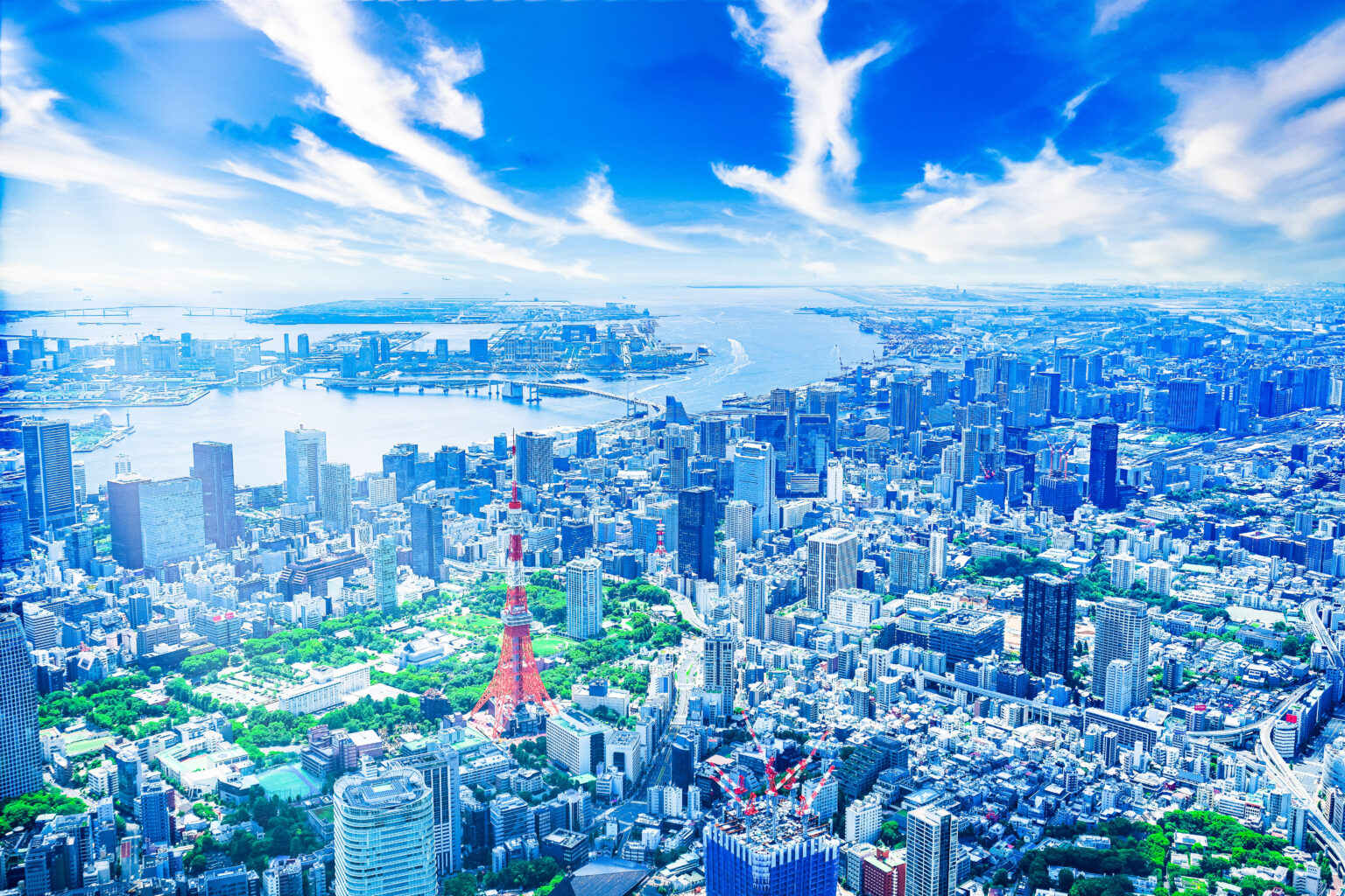 東京タワーと東京の街並みの空撮（東京都）