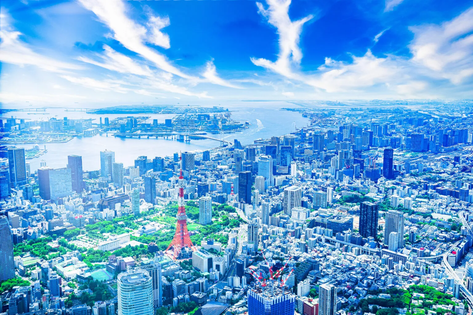 東京タワーと東京の街並みの空撮（東京都）
