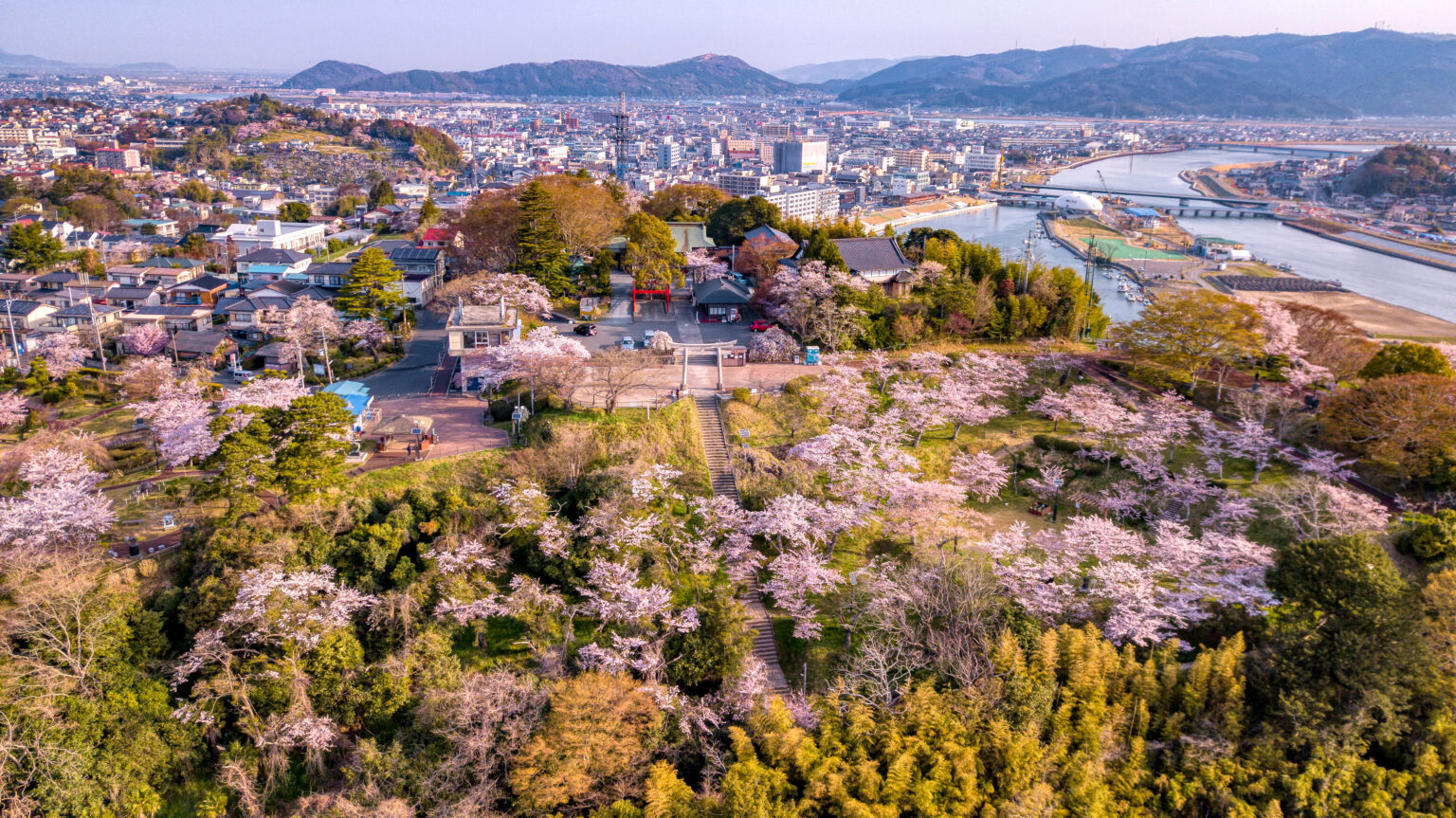 日和山公園の桜と石巻の街並み（宮城県石巻市）